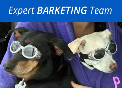 Expert-Barketing-Team_500x361